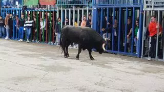 Vilafranca se viste de fiesta este fin de semana para abrir la temporada taurina a lo grande: toda la programación