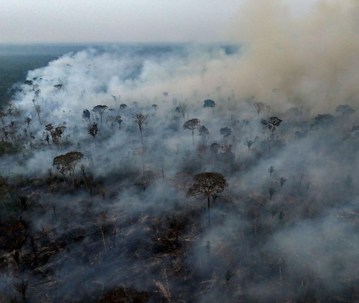 El fum dels focs adoba els boscos de l’Amazònia