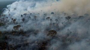 El fum dels focs adoba els boscos de l’Amazònia