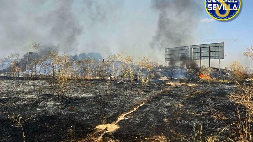 Desvíos de tráfico por el humo de dos incendios de pastos en algunas vías de Sevilla