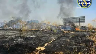 Desvíos de tráfico por el humo de dos incendios de pastos en algunas vías de Sevilla