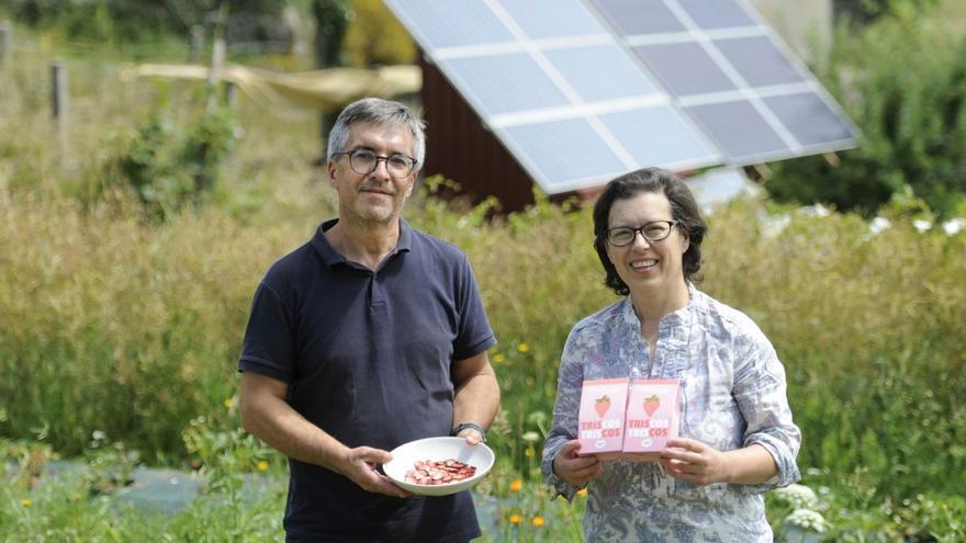 Premian a Trasdeza Natur como mejor productor sostenible de España en 2023