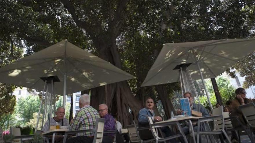 Una de las terrazas que se sitúan bajo las ramas de los ficus centenarios de la plaza de Gabriel Miró, en una imagen de la pasada semana.