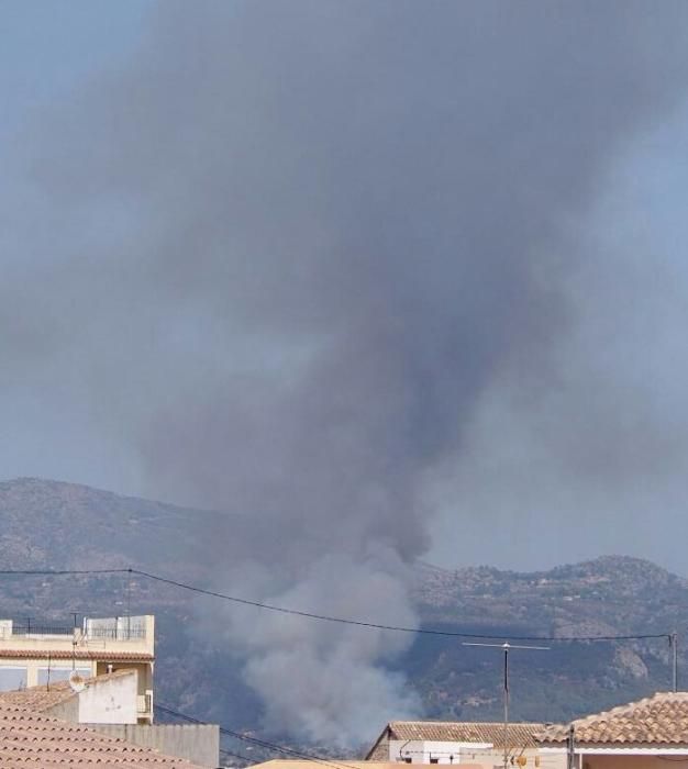 El incendio de Bolulla, esta mañana.