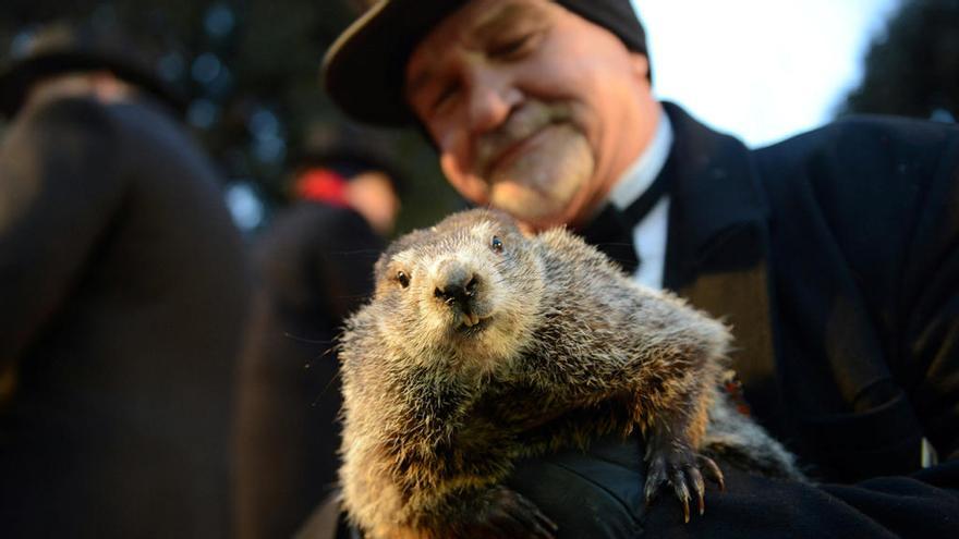 Phil, la famosa marmota, vive hoy su día // Reuters