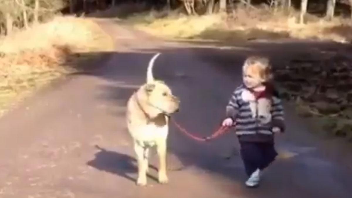 El entrañable vídeo compartido por Dani Rovira en que un niño para su paseo para pisar un charco mientras su perro le espera.