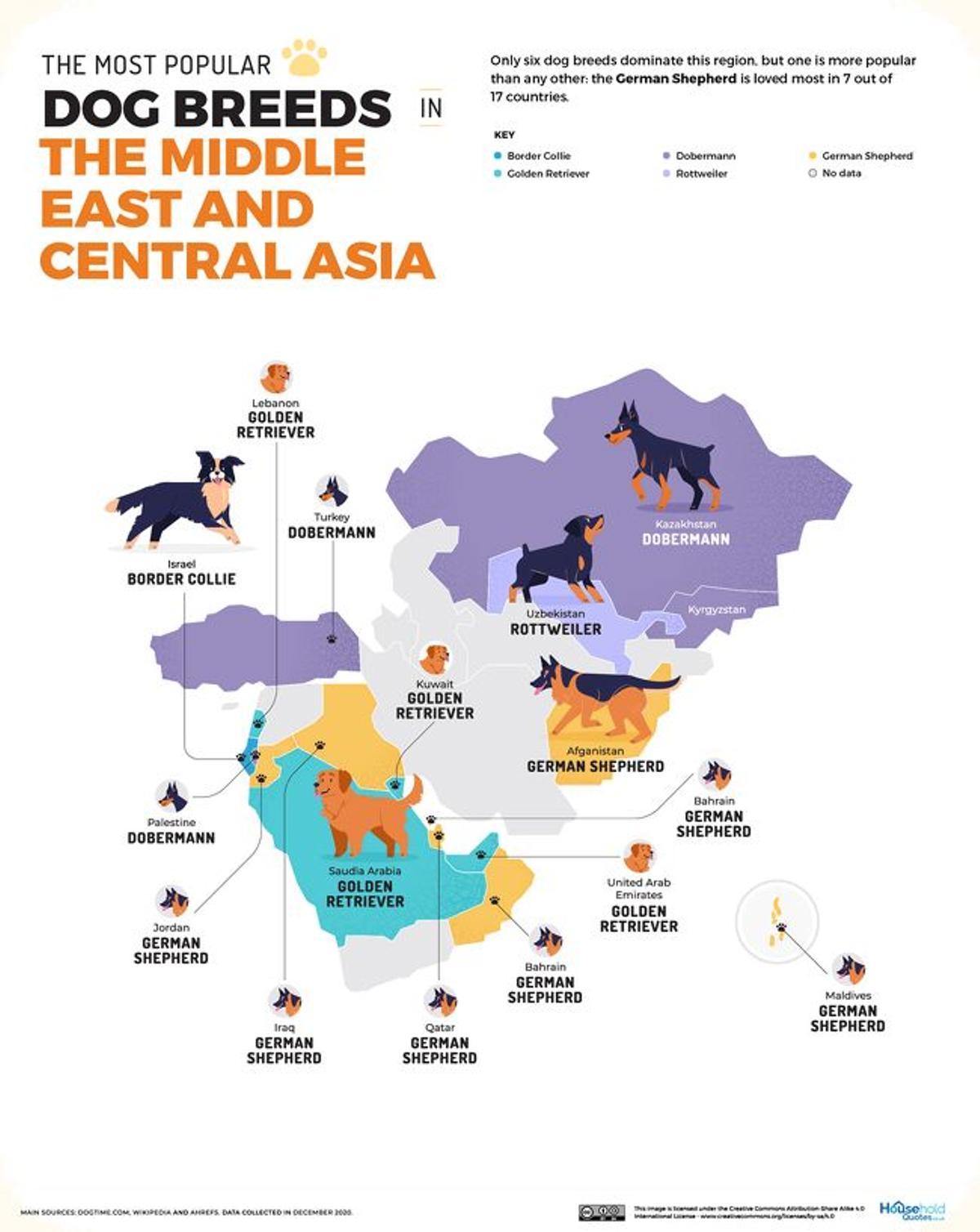 Los perros en Oriente y Asia Central