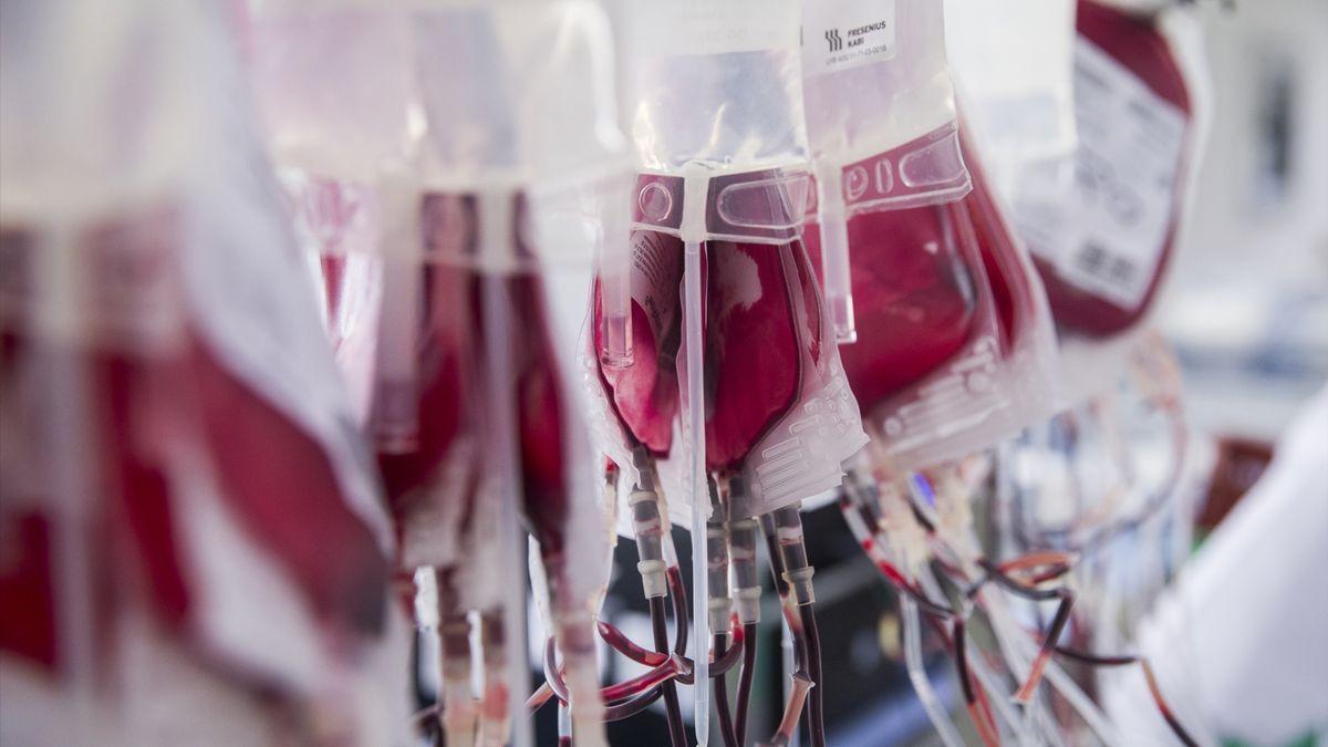 Llaman a donar sangre en septiembre tras la alta demanda durante el  verano