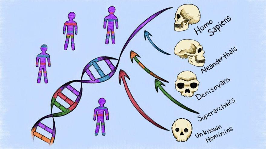 Des ancêtres fantômes découverts cachés dans l'ADN humain