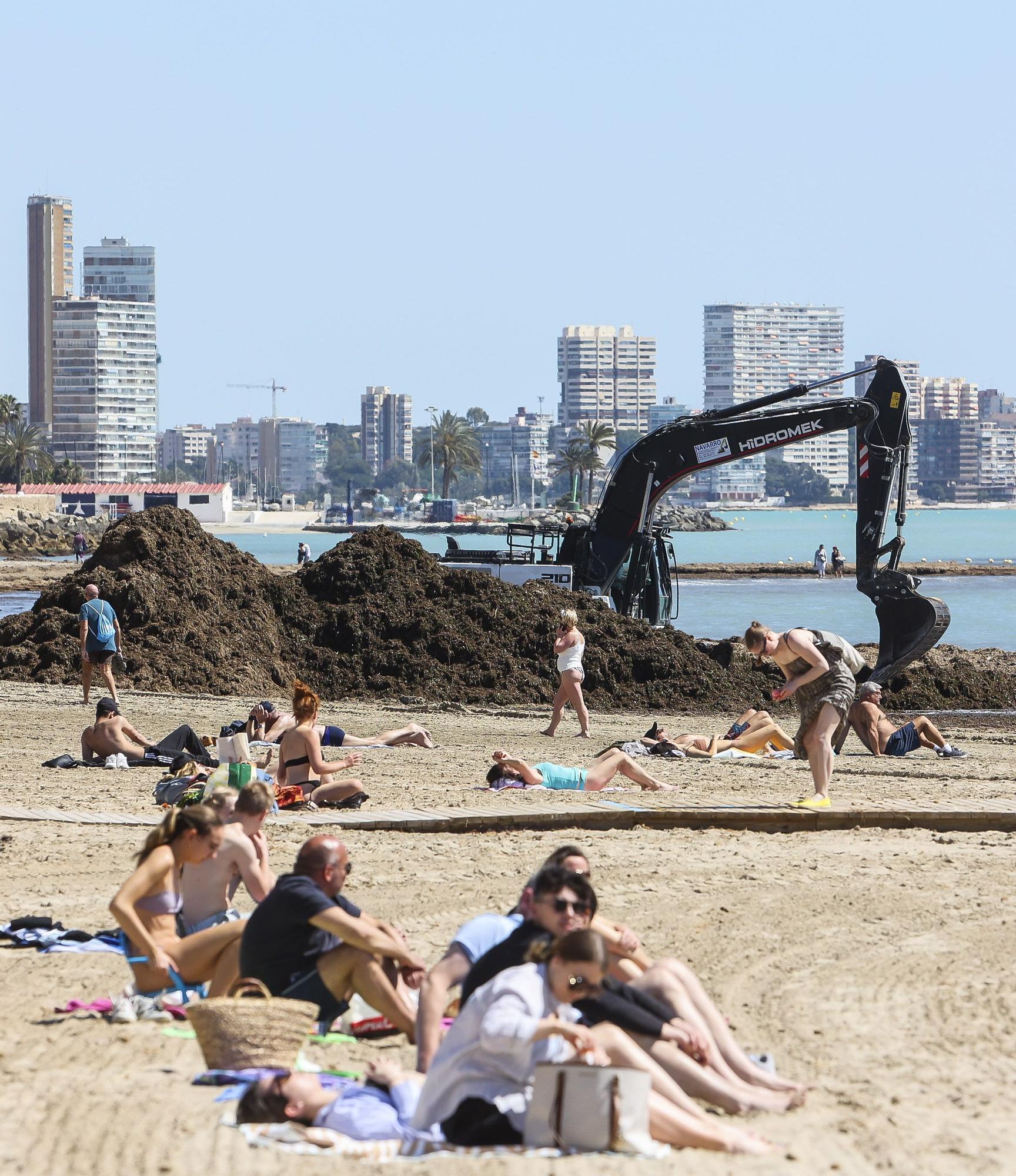 Playas llenas en Alicante mientras y limpieza de restos del temporal