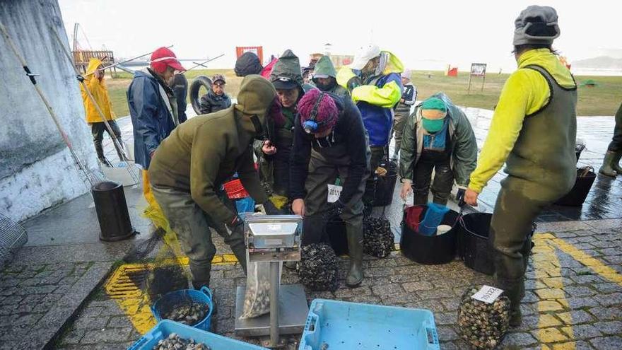 Las mariscadoras de Carril en el arranque de la campaña navideña en la playa Compostela. // Iñaki Abella