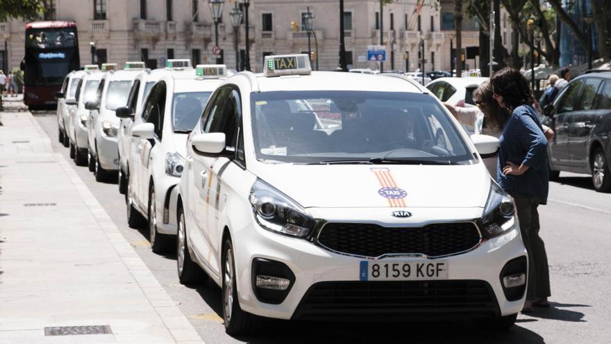 Más de 300 aspirantes a taxista de Palma se examinarán mañana en el Palacio de Congresos