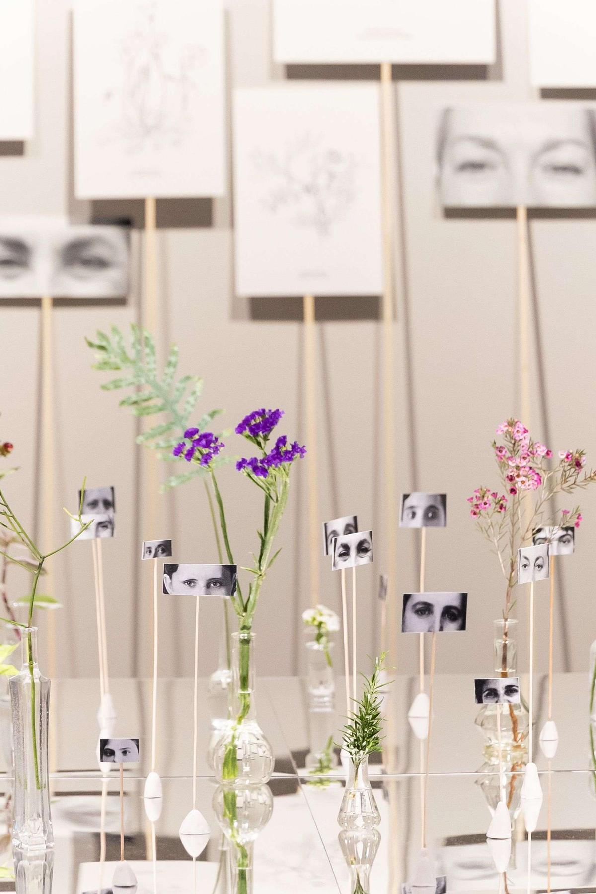 'Manifestción vegetal / Herbario', de Paula Vlero