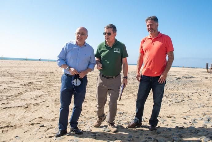 Segunda fase del proyecto de recuperación de las dunas de Maspalomas