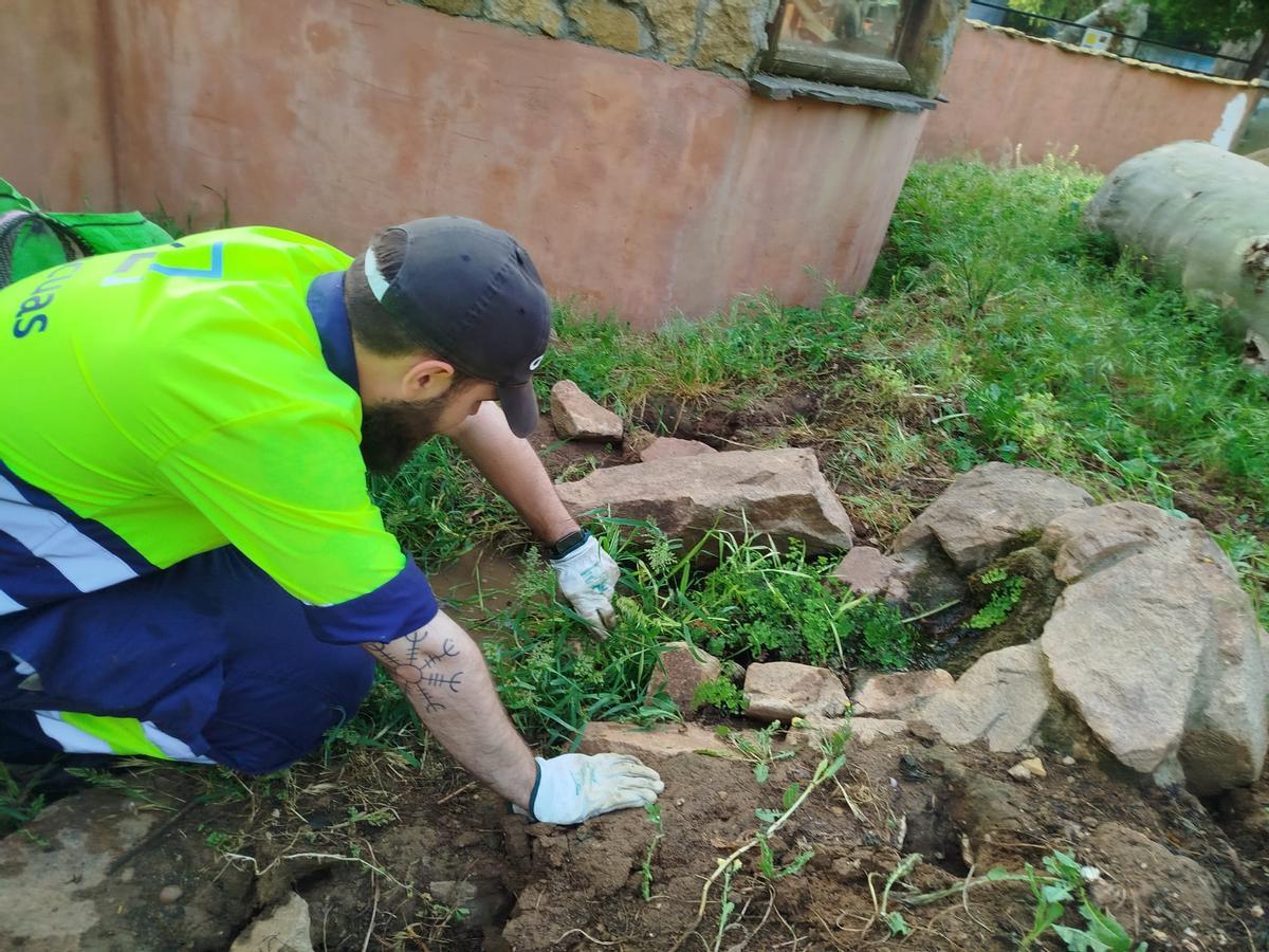 Cristian, uno de los jóvenes que ha encontrado empleo tras hacer un curso con CIC Batá.