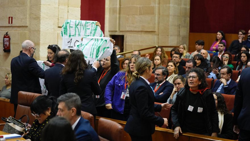 El Parlamento andaluz limitará las visitas a la sede y el público en los plenos para evitar &quot;problemas de seguridad&quot;