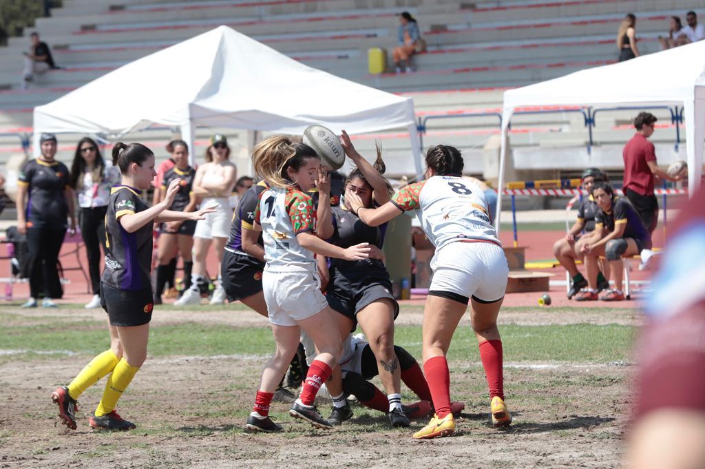 Torneo de rugby