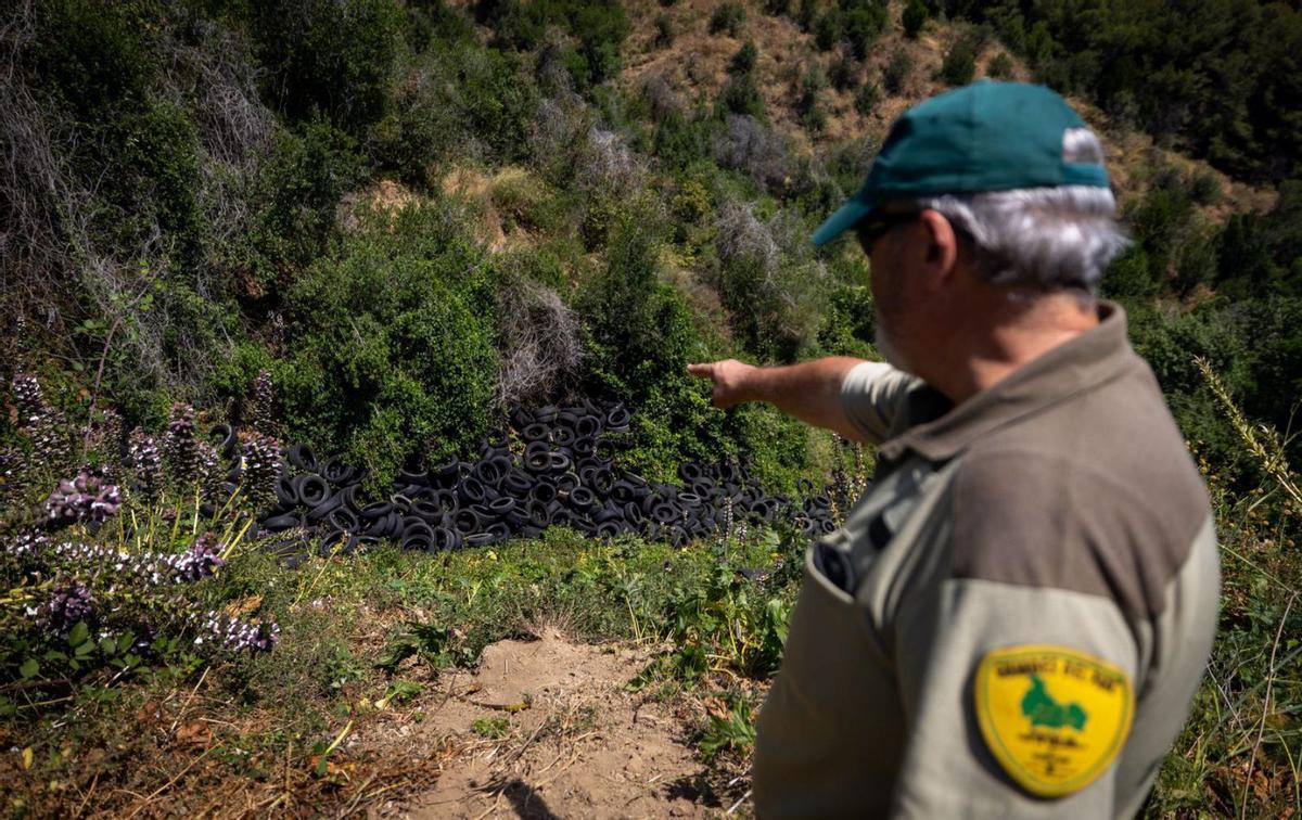 Un foc al costat d’un abocador il·legal amenaça Collserola Un foc al costat d’un abocador il·legal amenaça Collserola