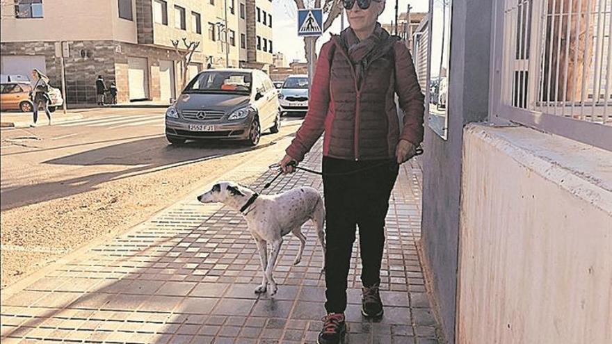 Hasta 3.000 € de multa por no dar el ADN de los perros