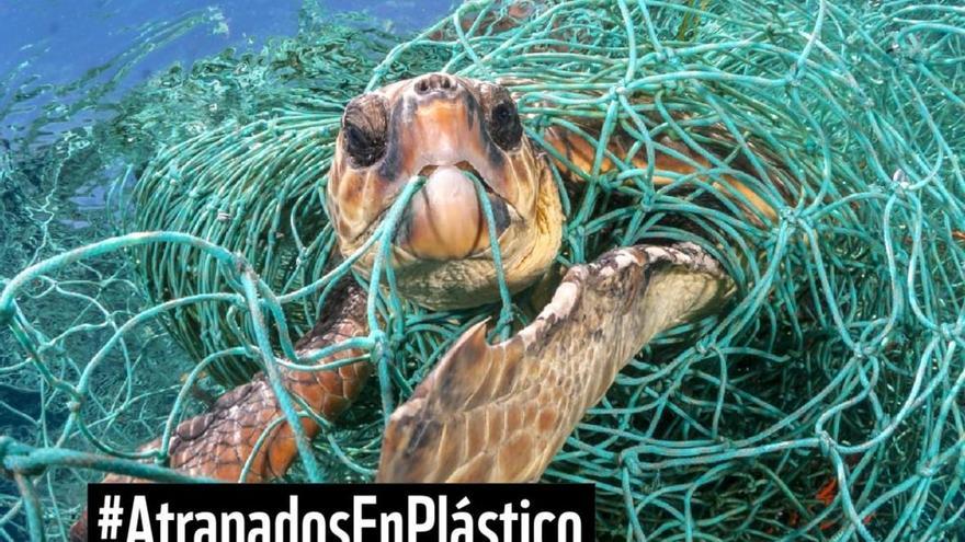 WWF declara la guerra al plástico