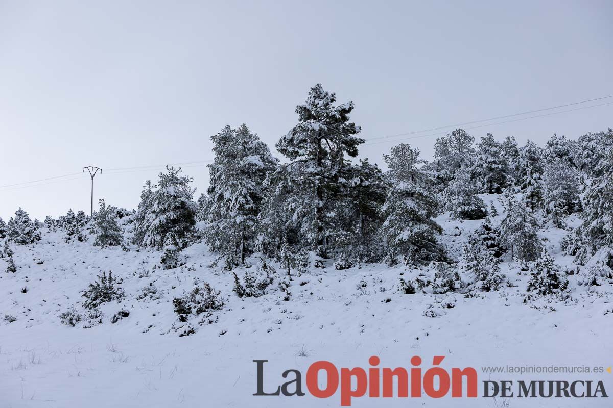 La comarca del Noroeste ofrece una estampa invernal