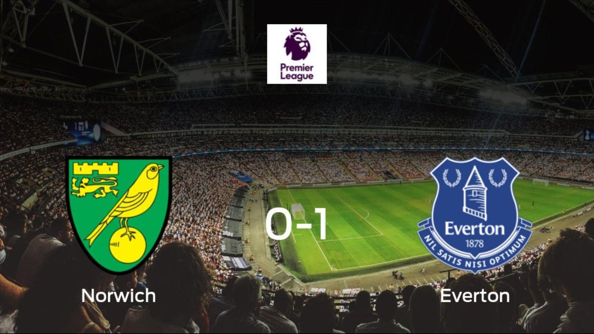 Triunfo del Everton frente al Norwich City (0-1)