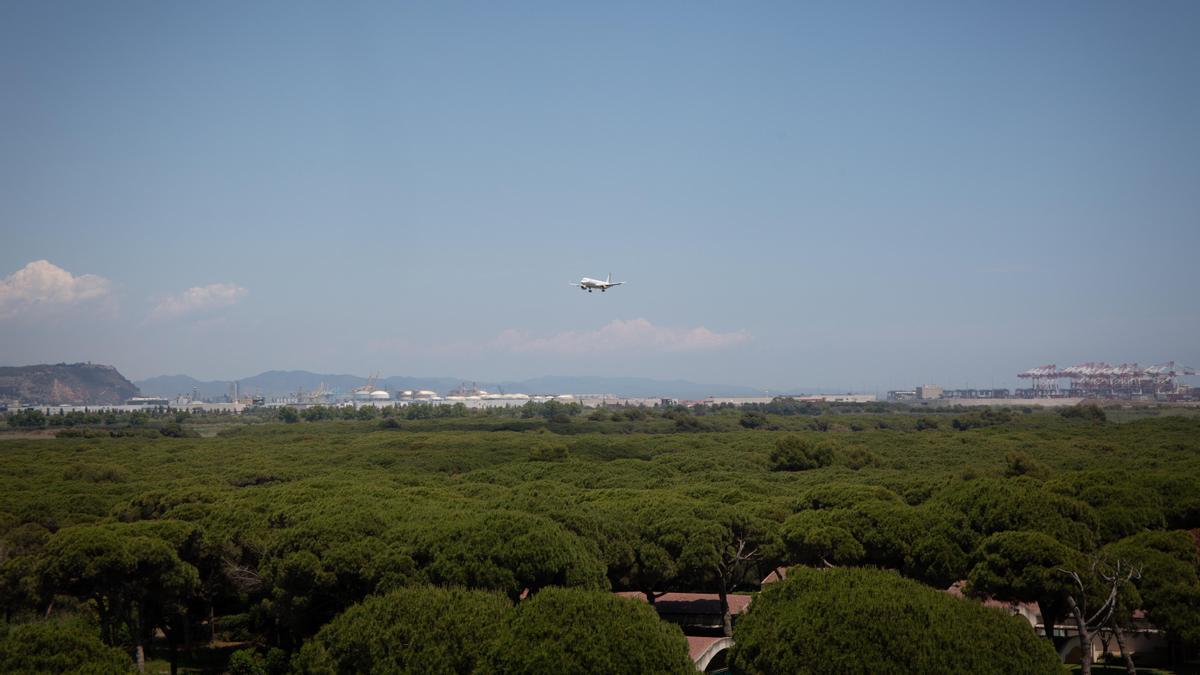 La Ricarda es un espacio protegido junto a el aeropuerto de Barcelona-El Prat.