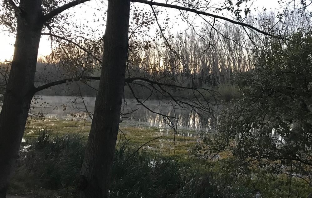 Glaçada a la zona del riu Ter a Colomers