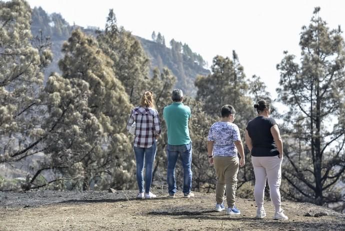 24/09/2017 CRUZ DE TEJEDA. Vuelta a la normalidad tras el incendio en la Cumbre de Gran Canaria. FOTO: J. PÉREZ CURBELO