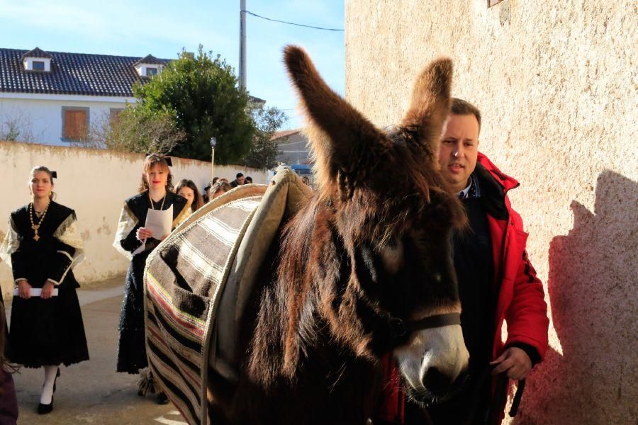 Monfarracinos celebra San Antón