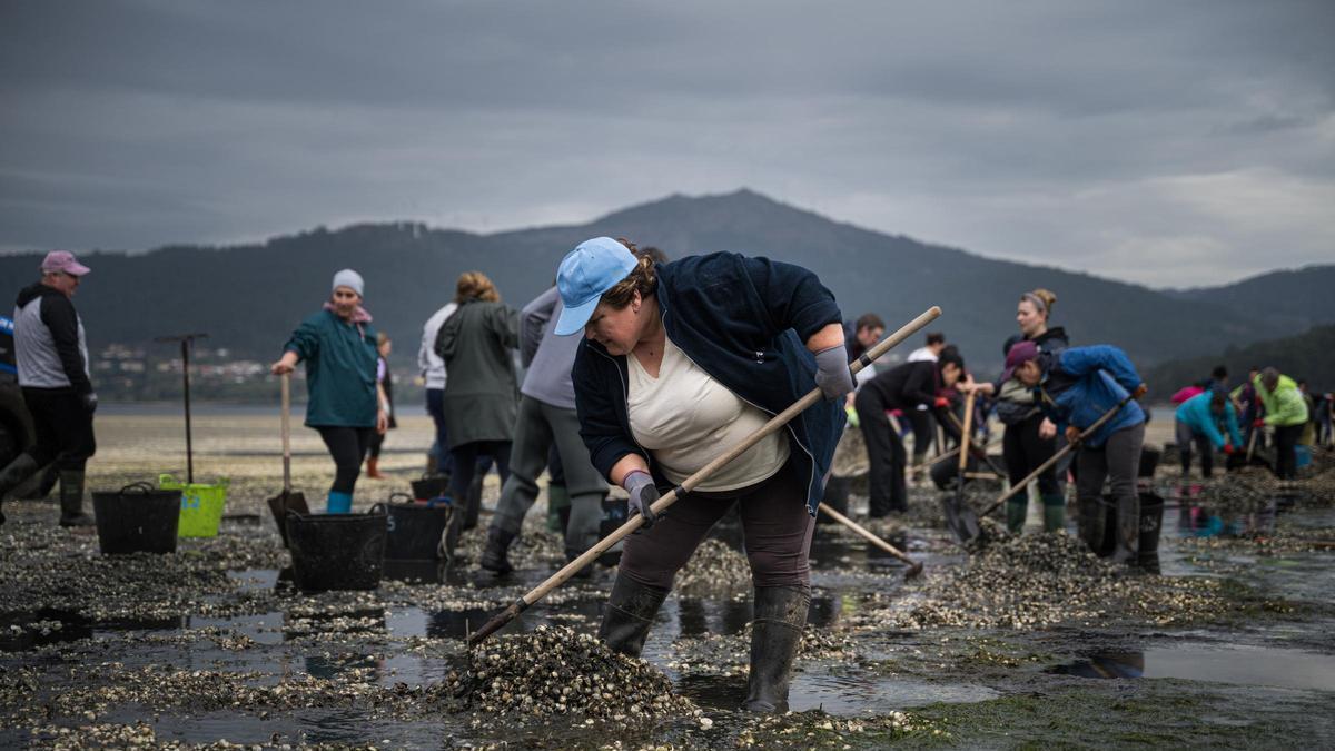 Mariscadoras en Noia recogiendo bivalvos muertos el pasado mes de marzo.