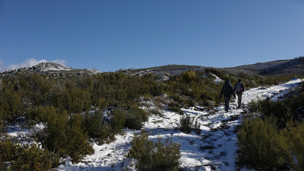 GALERÍA | La nieve deja un paisaje de ensueño en Sanabria