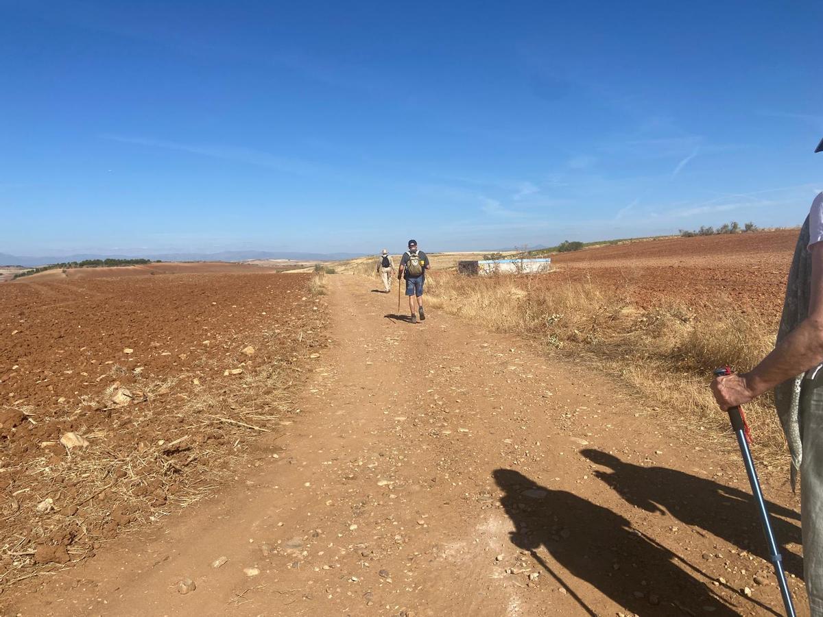 El Camino de Santiago de Alcalá de Henares combina vida urbana, campo y montaña