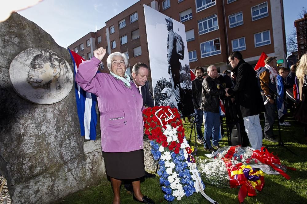 Acto homenaje de los asturianos a Fidel Castro