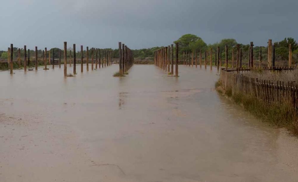 En Formenetra el viento, las olas y la lluvia han dibujado un paisaje muy especial