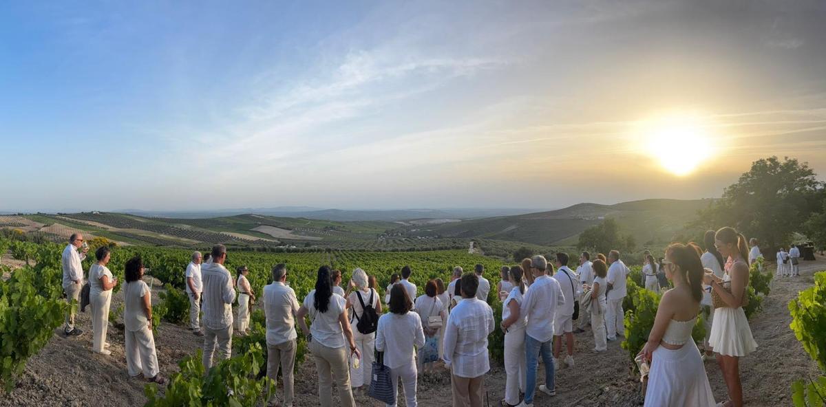 'Sunset Experience', propuesta de Lagar Los Raigones que ha resultado ganadora.