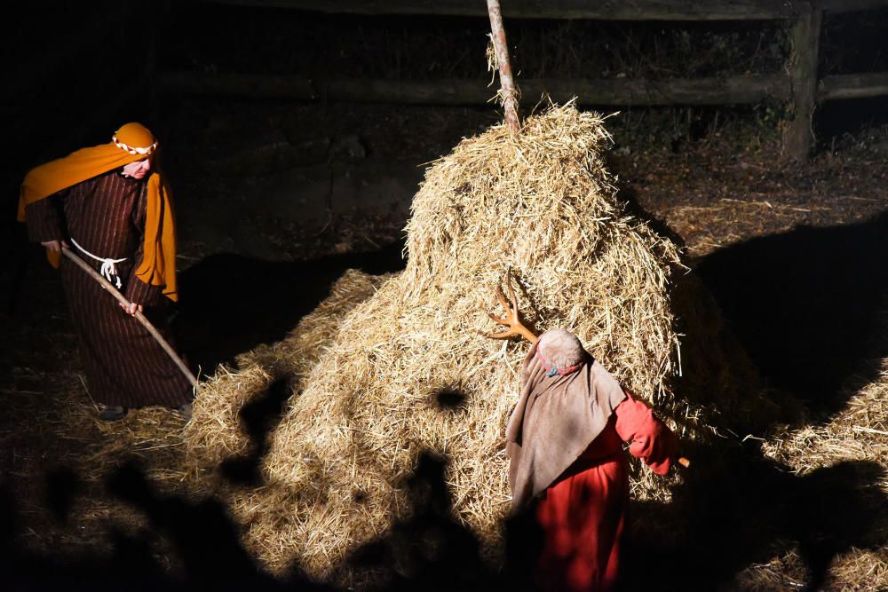 Les millors fotos del Pessebre de les Torres de Fa