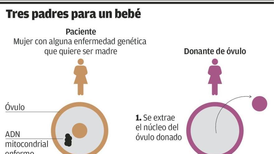 Nace el primer bebé con ADN de tres padres