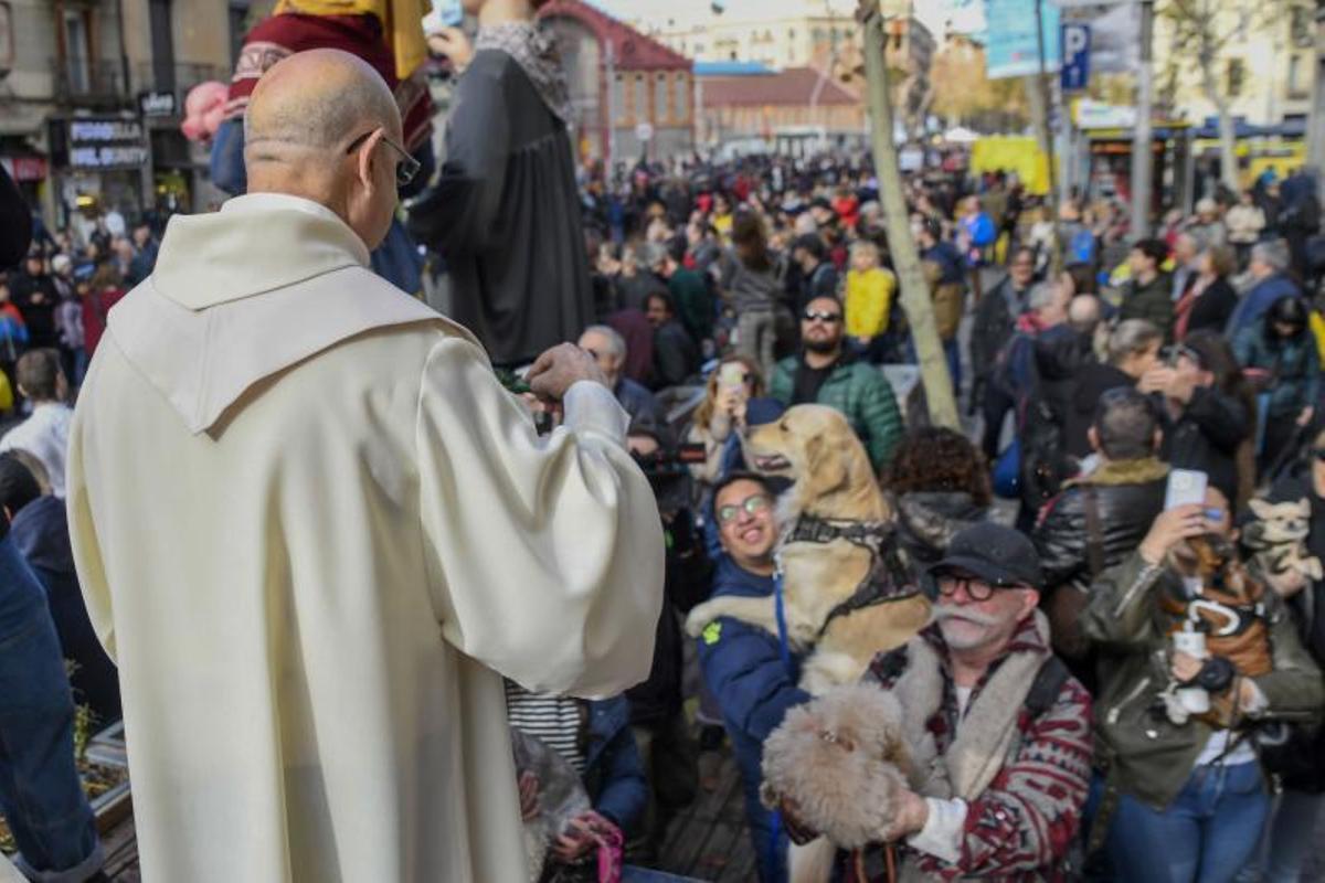 Bendición de animales en Els tres tombs