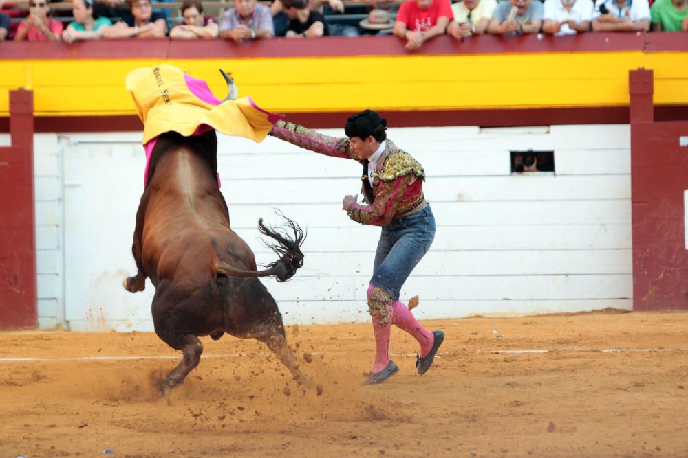 Un novillo se escapa y siembra el pánico en Algemesí