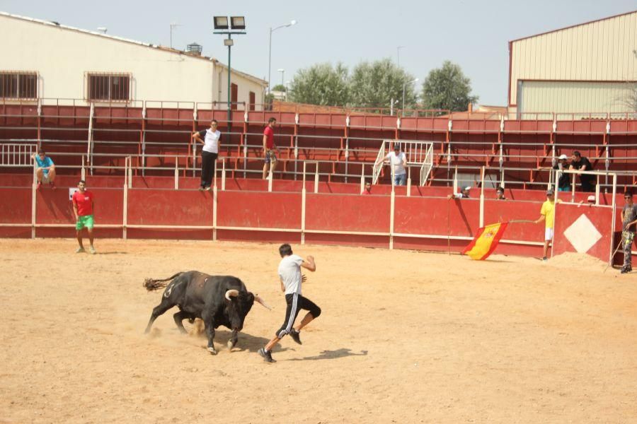 Fiestas en Zamora: Villamor de los Escuderos