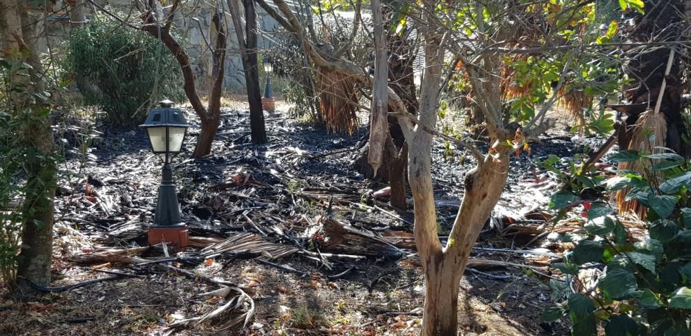 Incendio de cuatro palmeras en Bandama