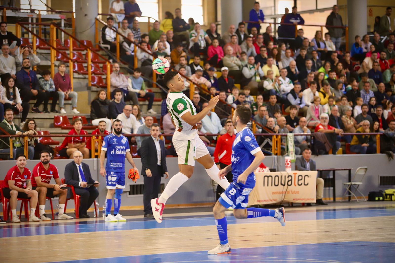 Córdoba Futsal - Manzanares : el partido en Vista Alegre en imágenes