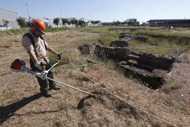 Urbanismo y Sadeco inician la limpieza del yacimiento de Cercadilla