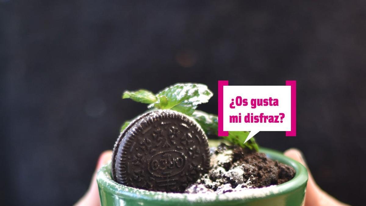 Planes de la semana: postre de Oreo