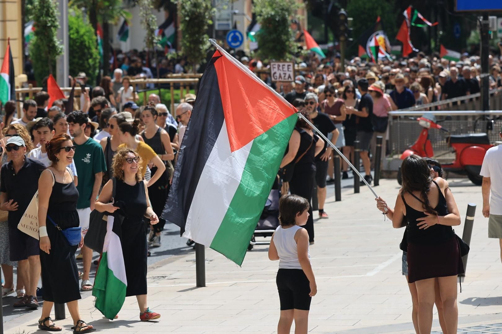 Manifestación a favor del pueblo palestino y la paz en Castellón