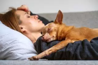 ¿Duermes con tu perro? Tienes que saber esto