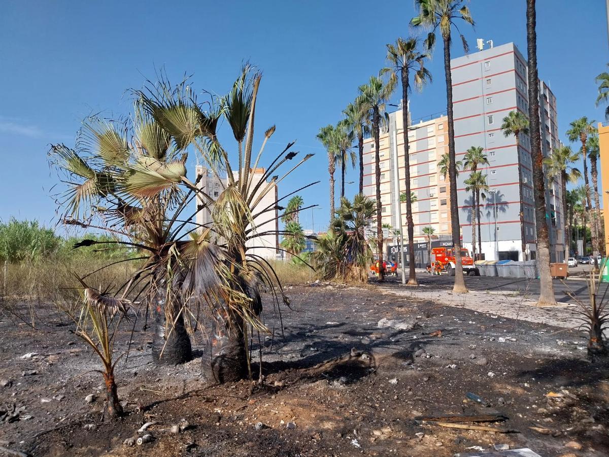 Vista de la zona desde las parcelas sin urbanizar de Tulell.