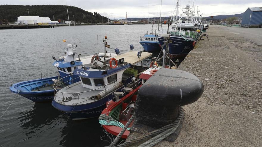 Los pescadores desconvocan su paro en la confianza de que las medidas que prepara el Gobierno eviten su ruina