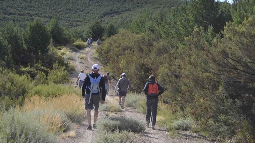 Excursionistas recorren la sierra sanabresa.